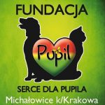 logo_serce_dla_pupila